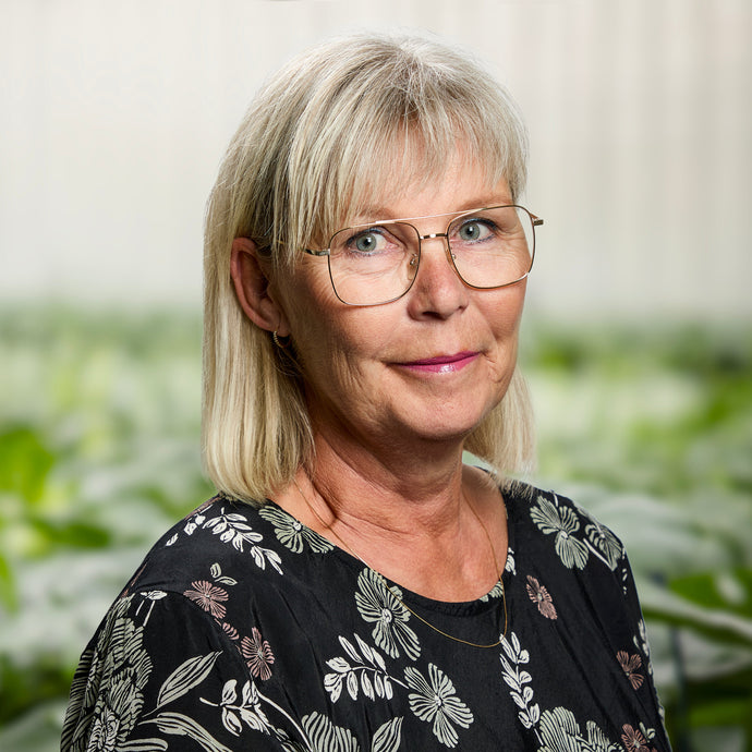 Anne Bendtsen