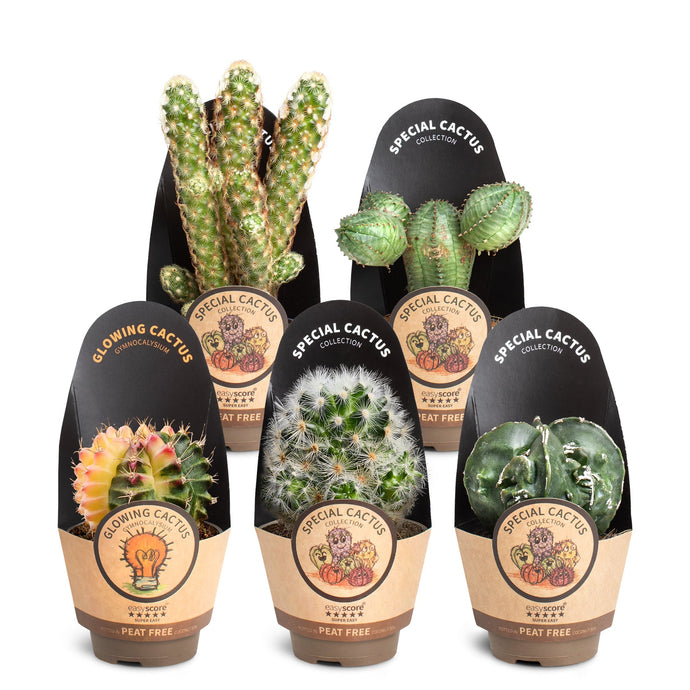 Plant-guide  EasyCare Plants