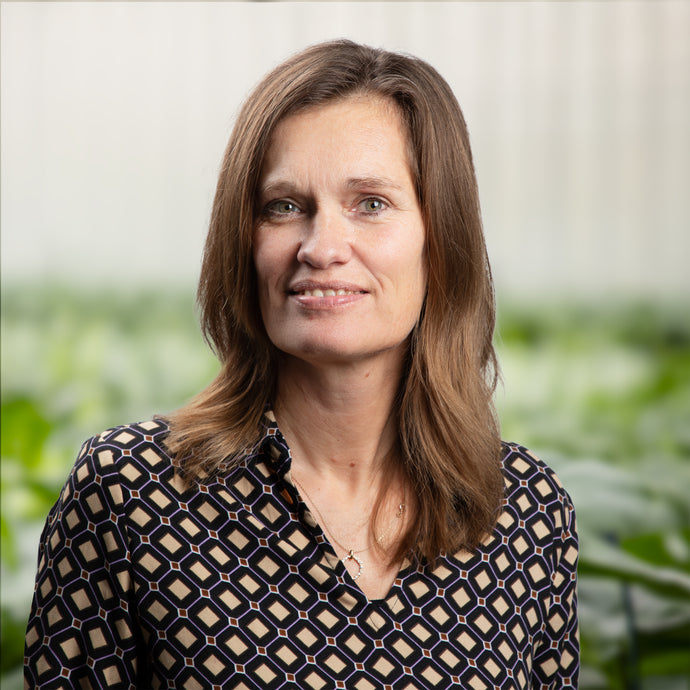 Hanne Rasmussen