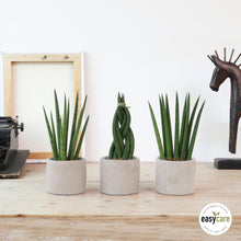 Indlæs billede til gallerivisning Raw coverpots - Warm Grey