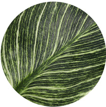 Indlæs billede til gallerivisning White Measure