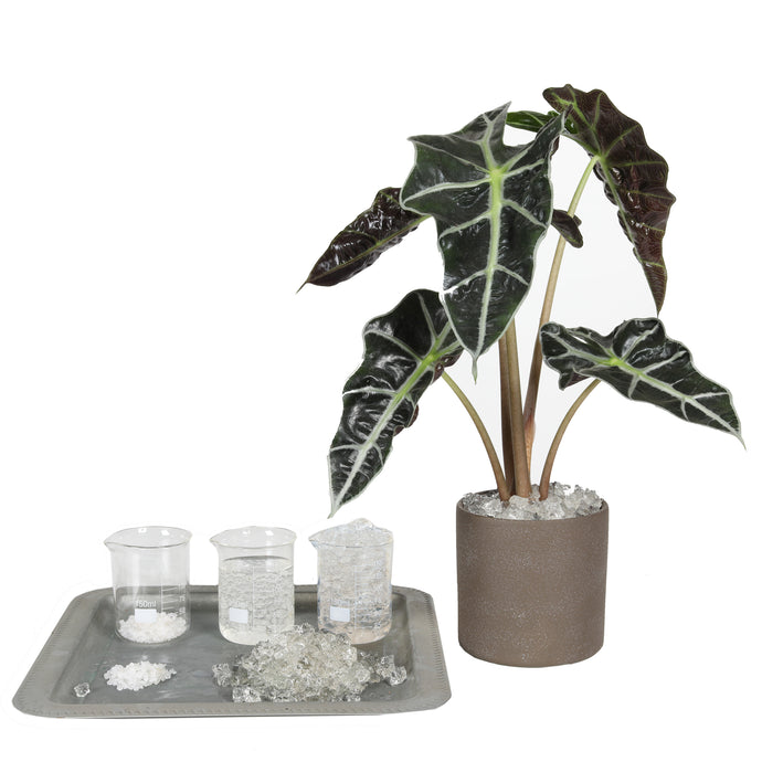 Vandgele tilbehør til planter