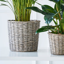 Load image into Gallery, Flotte kurve til planter