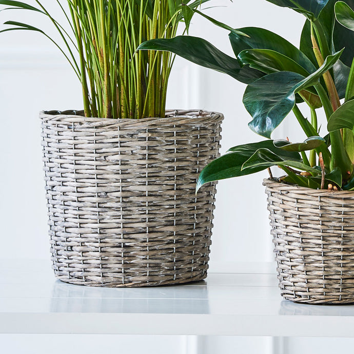 Flotte kurve til planter